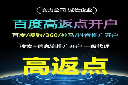 成功运用SEM技术提升网站流量的案例研究